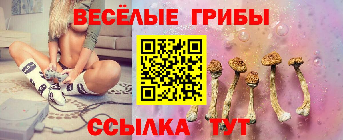Псилоцибиновые грибы Psilocybine cubensis  купить наркотики сайты  Нижний Тагил  Вход с VPN 