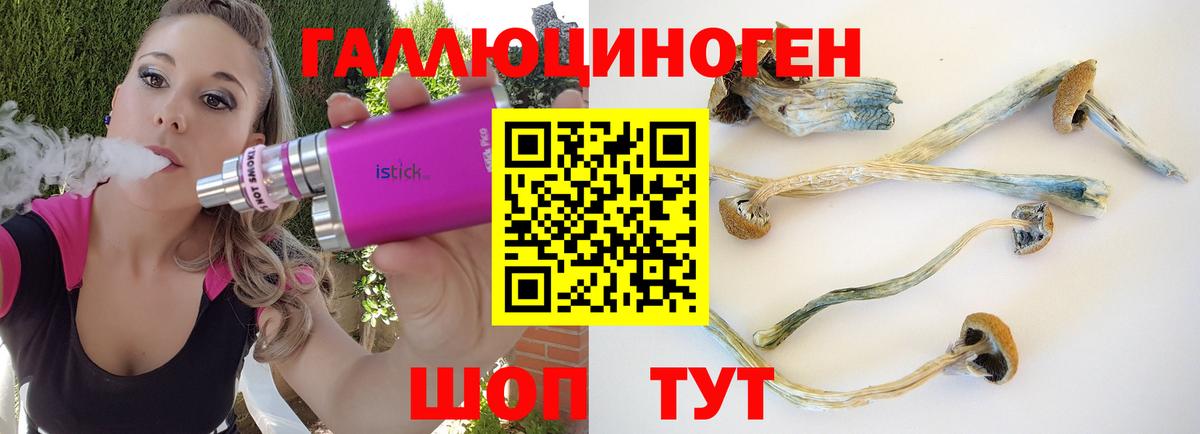 Псилоцибиновые грибы мухоморы Нижний Тагил